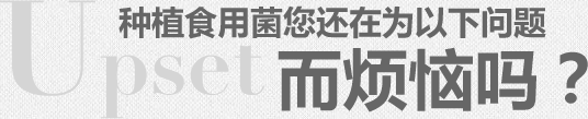 种植食用菌您还在为以下问题而烦恼吗?