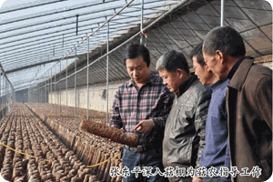 亿昌菌业 亿昌菌业