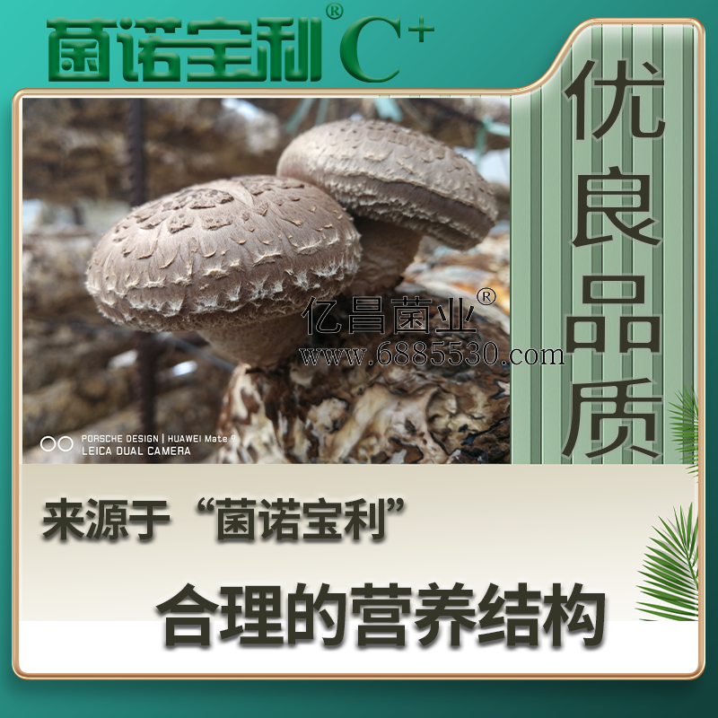 亿昌菌业菌诺宝利C+：注水C+（网页版）PC-4（优良品质，来自于&ldquo;菌诺宝利&rdquo;合理的营养结构）.png