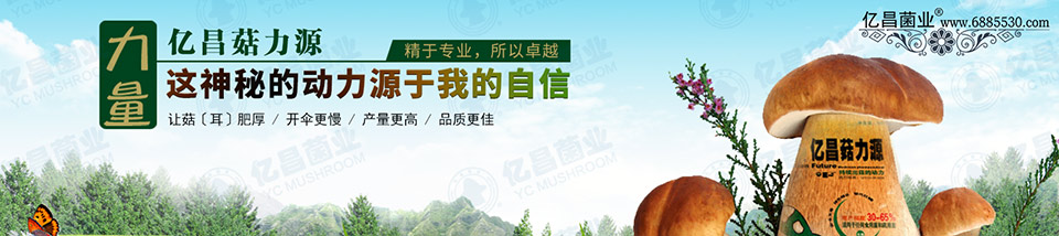 亿昌菇力源——让菇(耳)肥厚、开伞更慢、产量更高、品质更佳 亿昌菇力源——让菇(耳)肥厚、开伞更慢、产量更高、品质更佳