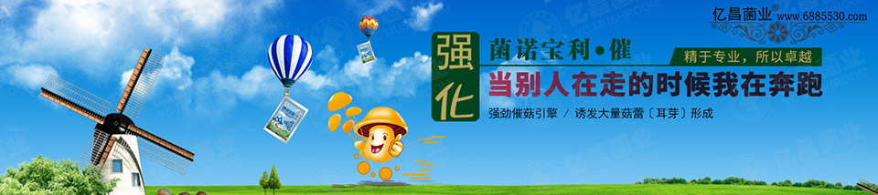 亿昌催菇王——强劲催菇引擎,诱发大量菇蕾(耳芽)形成 亿昌催菇王——强劲催菇引擎,诱发大量菇蕾(耳芽)形成