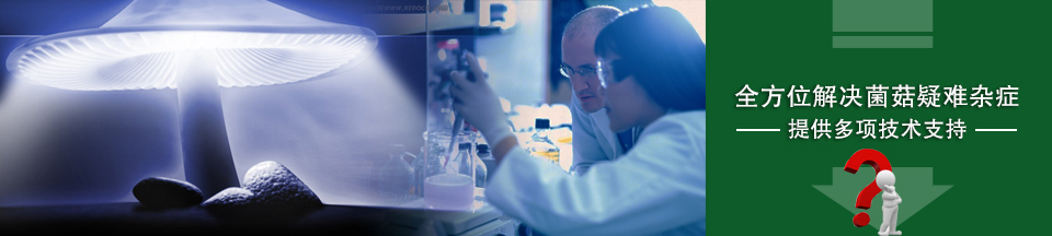 亿昌菌业——全方位解决菌菇疑难杂症