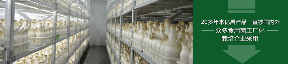 —— 享用亿昌科技,沐浴菌业阳光 —— —— 享用亿昌科技,沐浴菌业阳光 ——