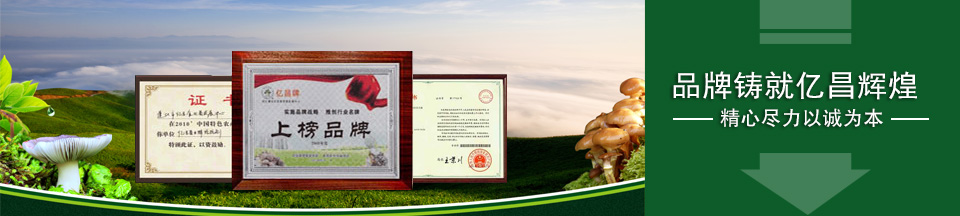 精心尽力以诚为本，品牌铸就亿昌辉煌！